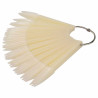 Color Chart, beige, stiletto, 40 pcs