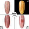 MollyLac Night Glowing Introspectre Hema/di-Hema vapaa 5g Nr 671