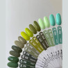 Gel polish - Spectrum F.O.X - 014