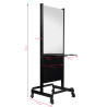 Gabbiano mobile two-sided hairdressing console ra-006