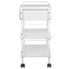 Cosmetic table type 1019a
