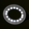 Ring led lamp snake on the desk white