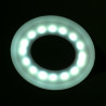 Ring led lamp snake on the desk white