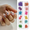 Dried flowers for nail design