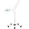 S5 LED magnifier lamp + tripod