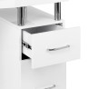 Cosmetic desk MOMO L03 with dust absorber