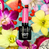 Color Gel Polish - Claresa - Tropical Escape № 1, 5 g