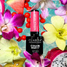 Color Gel Polish - Claresa - Tropical Escape № 3, 5 g