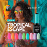 Color Gel Polish - Claresa - Tropical Escape № 4, 5 g