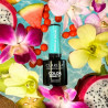 Color Gel Polish - Claresa - Tropical Escape № 6, 5 g