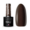 Claresa Brown № 317, 5 ml